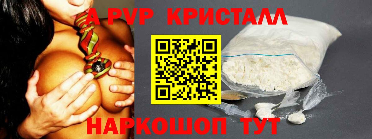 Альфа ПВП СК Шали